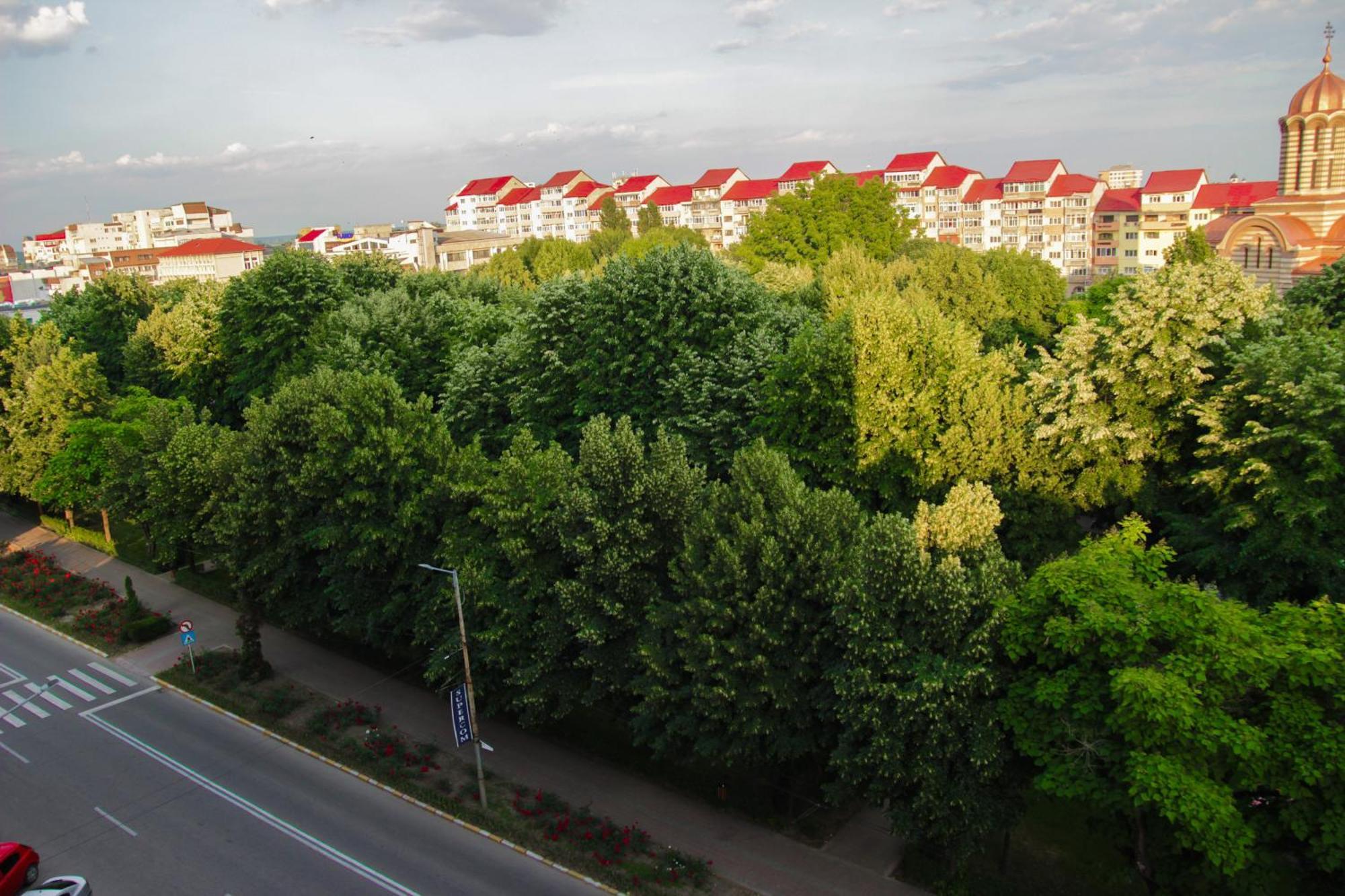Hotel Dambovita Тырговиште Экстерьер фото
